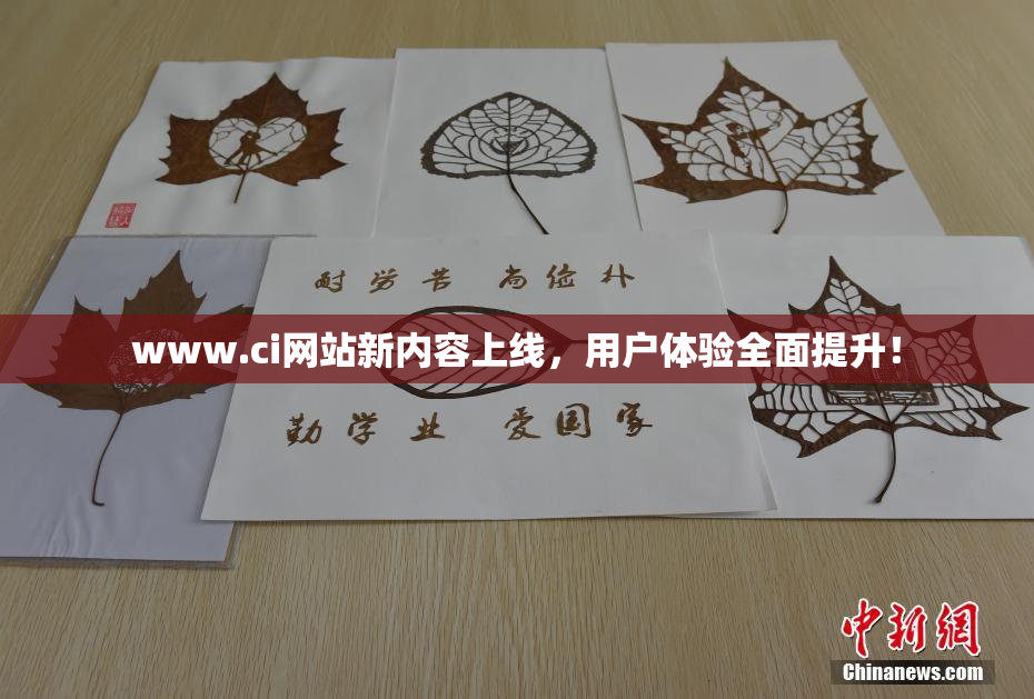 www.ci网站新内容上线，用户体验全面提升！