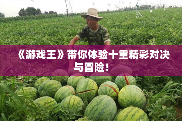 《游戏王》带你体验十重精彩对决与冒险！