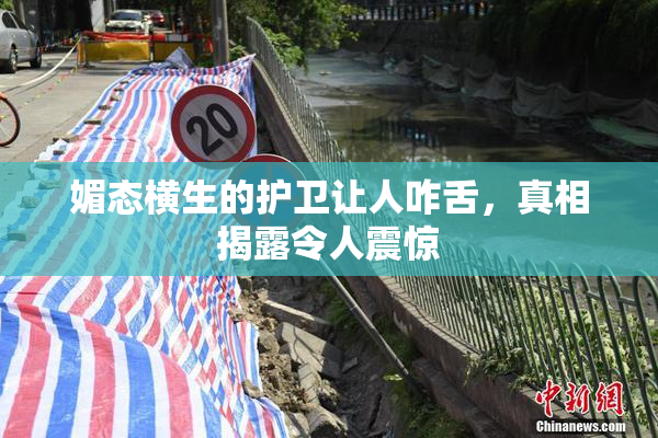媚态横生的护卫让人咋舌，真相揭露令人震惊