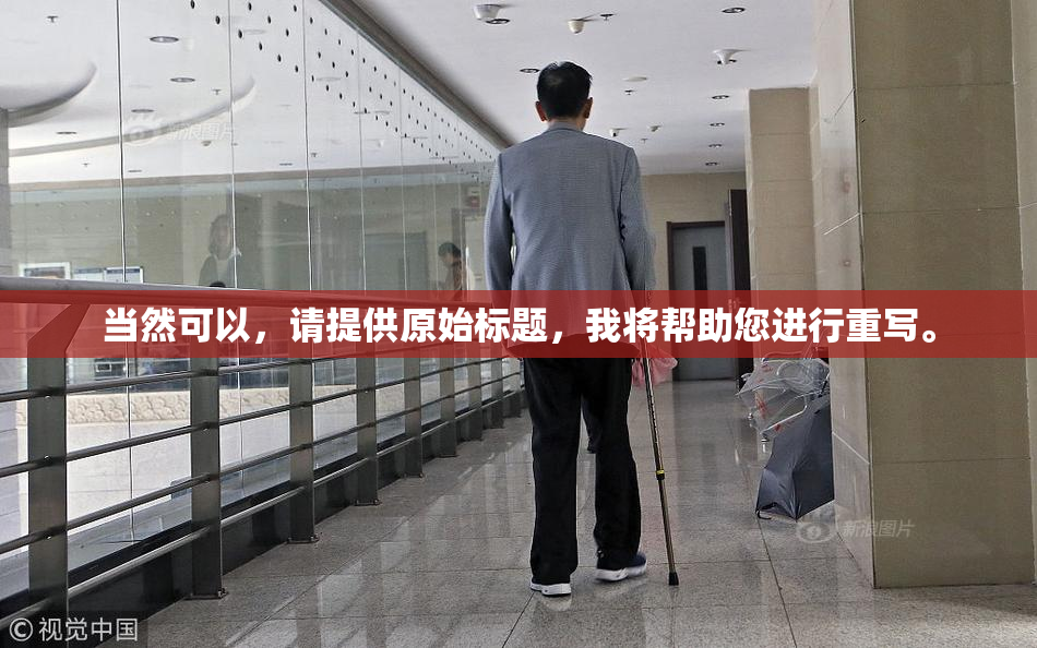 当然可以，请提供原始标题，我将帮助您进行重写。