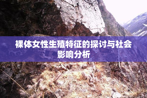 裸体女性生殖特征的探讨与社会影响分析