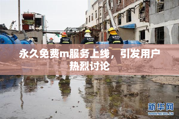 永久免费m服务上线，引发用户热烈讨论
