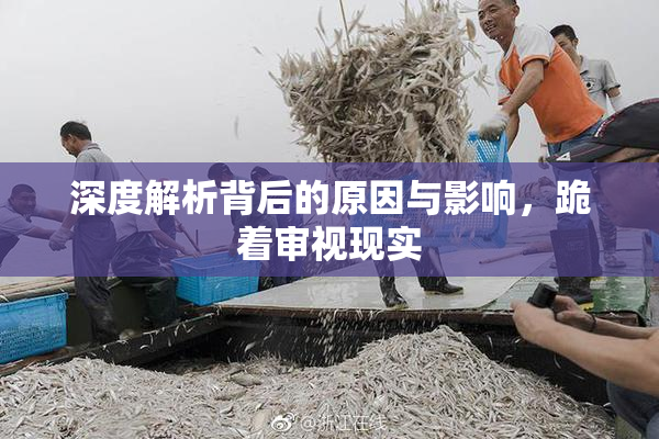 深度解析背后的原因与影响，跪着审视现实
