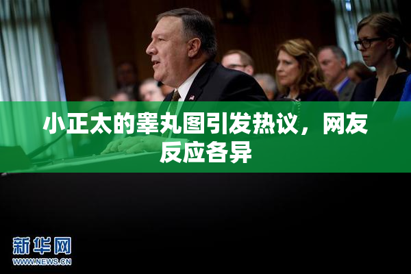 小正太的睾丸图引发热议，网友反应各异