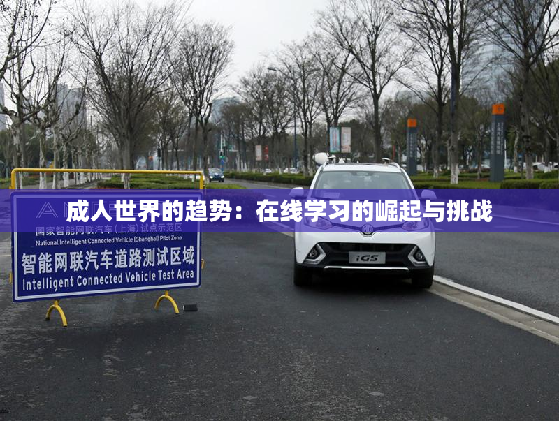 成人世界的趋势：在线学习的崛起与挑战