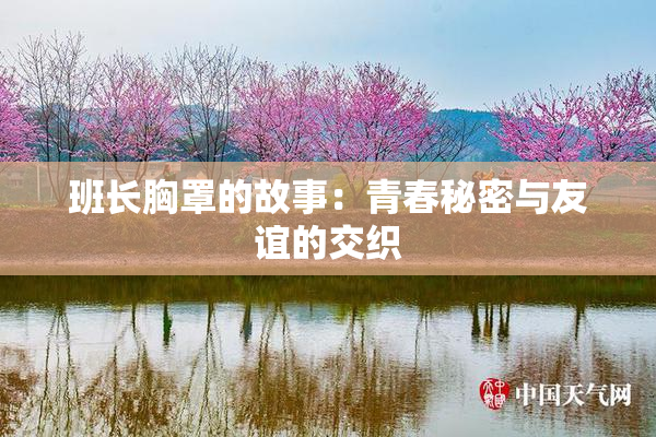班长胸罩的故事：青春秘密与友谊的交织