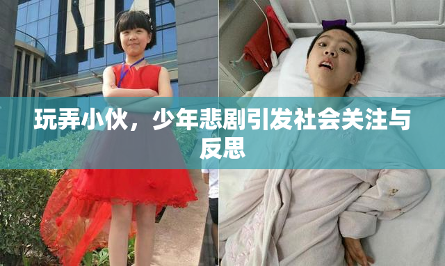 玩弄小伙，少年悲剧引发社会关注与反思