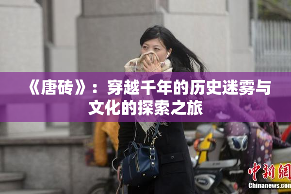 《唐砖》：穿越千年的历史迷雾与文化的探索之旅
