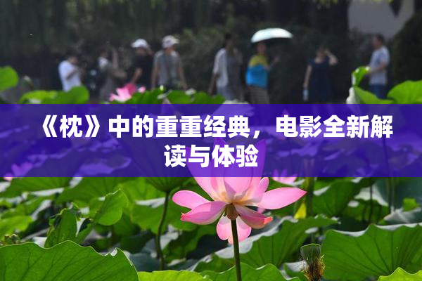 《枕》中的重重经典，电影全新解读与体验