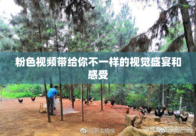 粉色视频带给你不一样的视觉盛宴和感受