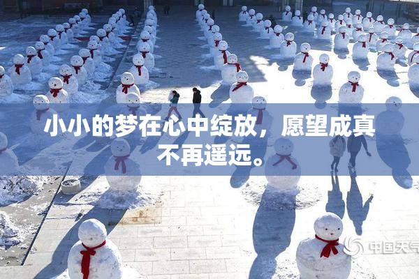 小小的梦在心中绽放，愿望成真不再遥远。