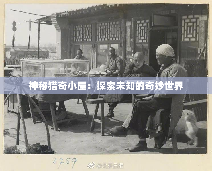 神秘猎奇小屋：探索未知的奇妙世界