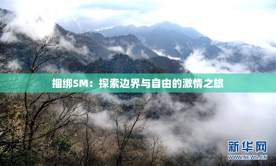 捆绑SM：探索边界与自由的激情之旅