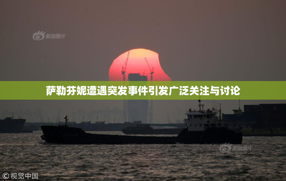 萨勒芬妮遭遇突发事件引发广泛关注与讨论