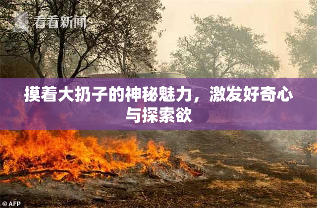 摸着大扔子的神秘魅力，激发好奇心与探索欲