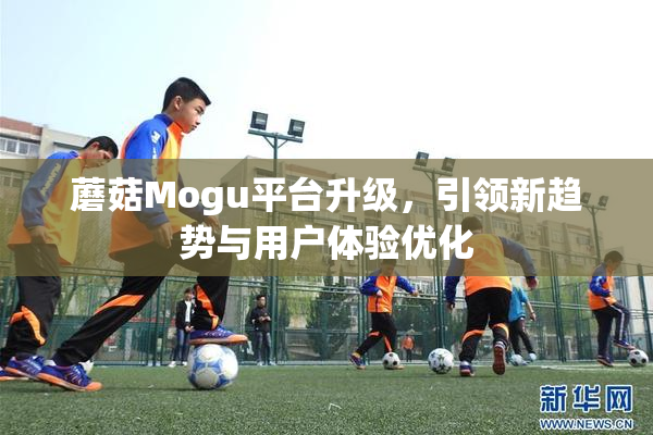 蘑菇Mogu平台升级，引领新趋势与用户体验优化