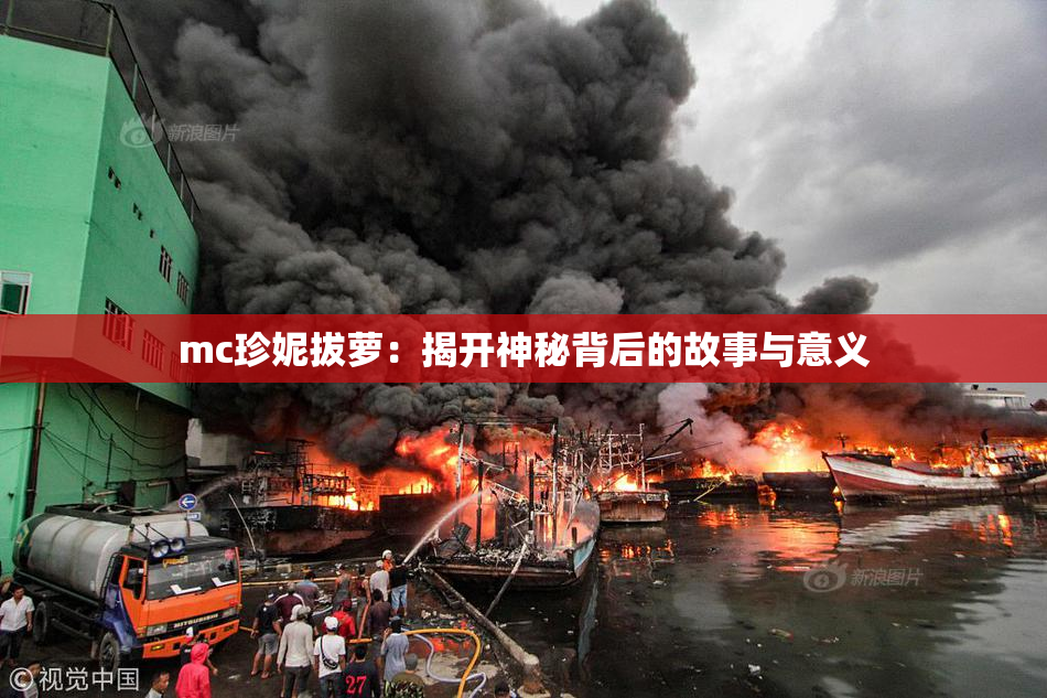 mc珍妮拔萝：揭开神秘背后的故事与意义