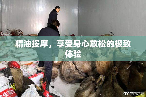 精油按摩，享受身心放松的极致体验