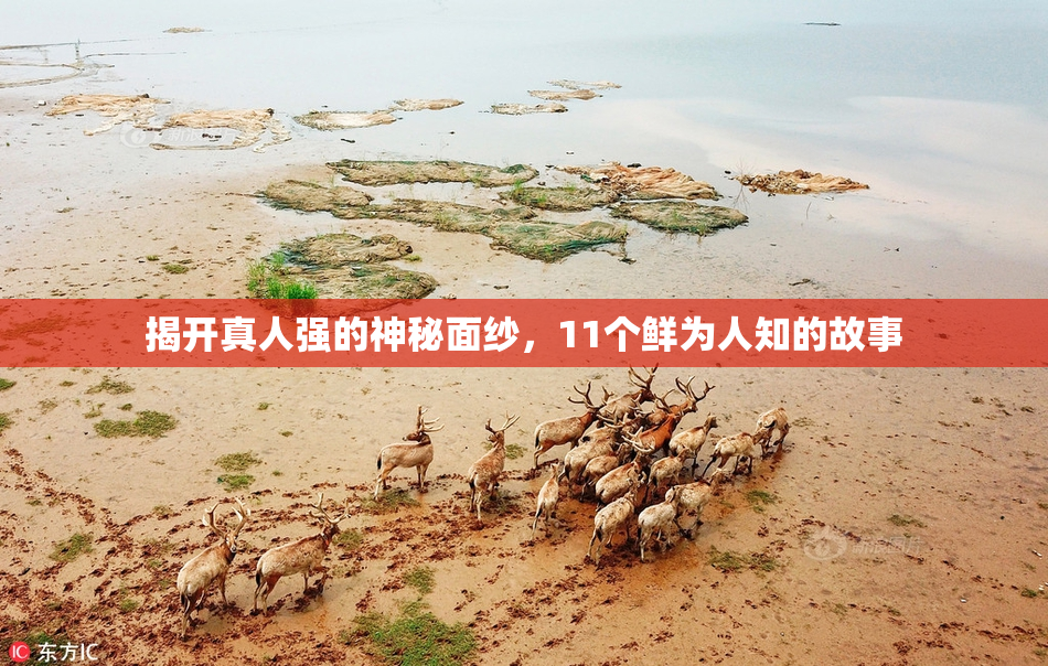 揭开真人强的神秘面纱，11个鲜为人知的故事
