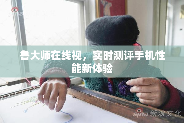 鲁大师在线视，实时测评手机性能新体验
