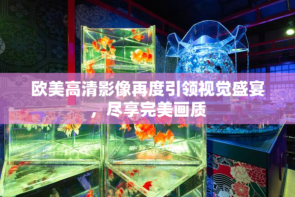 欧美高清影像再度引领视觉盛宴，尽享完美画质