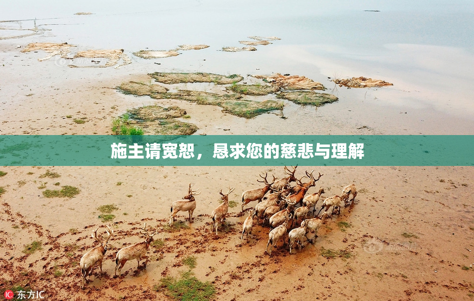 施主请宽恕，恳求您的慈悲与理解