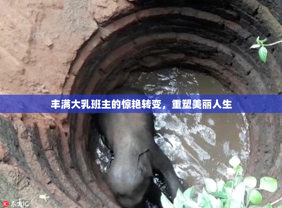 丰满大乳班主的惊艳转变，重塑美丽人生