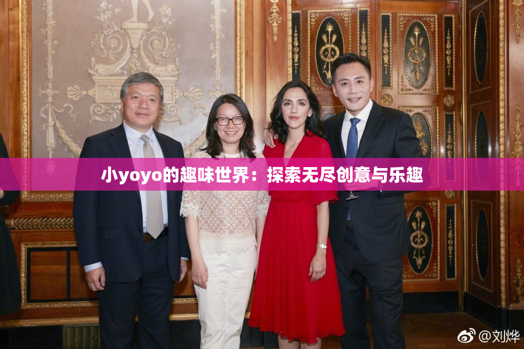 小yoyo的趣味世界：探索无尽创意与乐趣