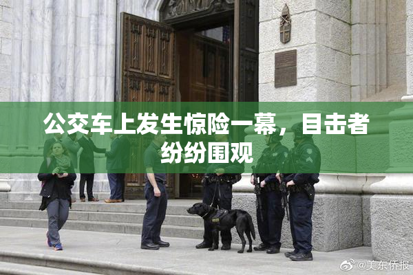公交车上发生惊险一幕，目击者纷纷围观