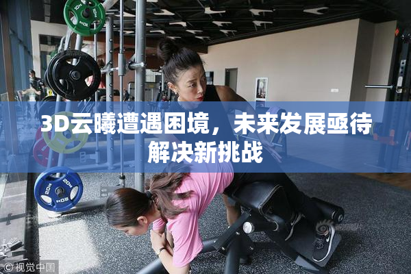 3D云曦遭遇困境，未来发展亟待解决新挑战