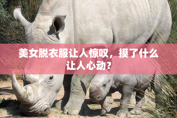 美女脱衣服让人惊叹，摸了什么让人心动？