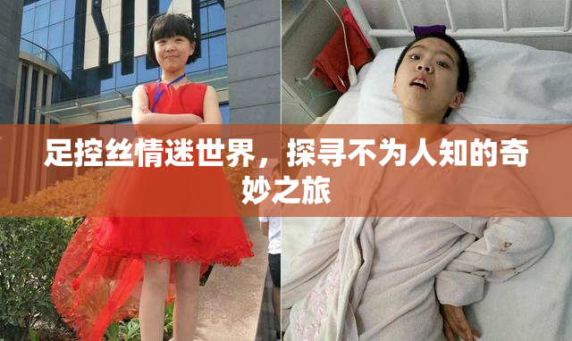 足控丝情迷世界，探寻不为人知的奇妙之旅