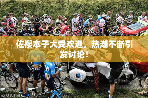 佐樱本子大受欢迎，热潮不断引发讨论！