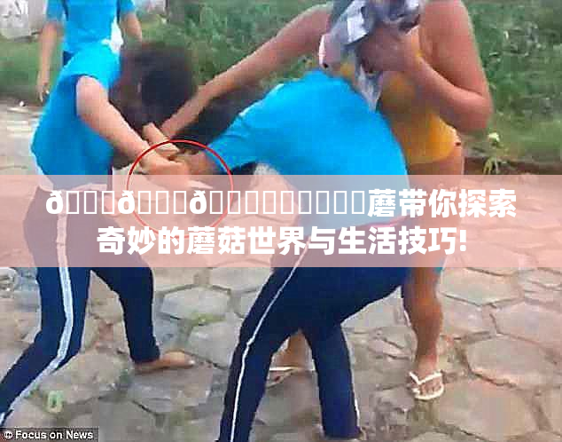 🍆🍑🔞❌‌❌‌❌‌蘑带你探索奇妙的蘑菇世界与生活技巧!