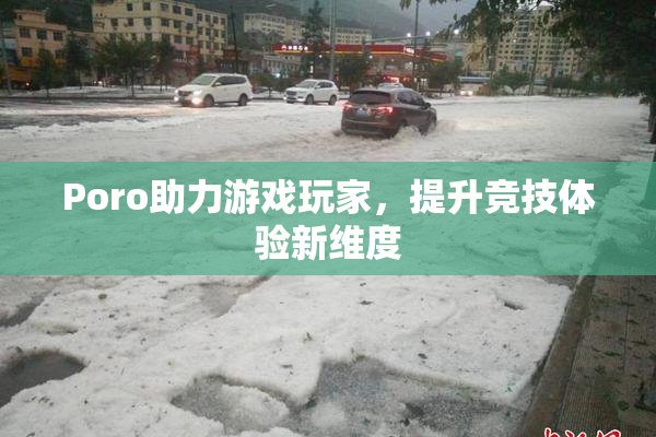 Poro助力游戏玩家，提升竞技体验新维度