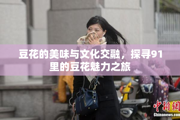 豆花的美味与文化交融，探寻91里的豆花魅力之旅