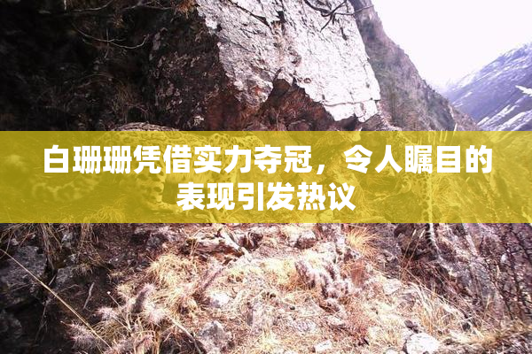 白珊珊凭借实力夺冠，令人瞩目的表现引发热议