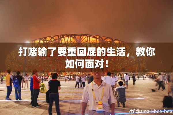 打赌输了要重回屁的生活，教你如何面对！
