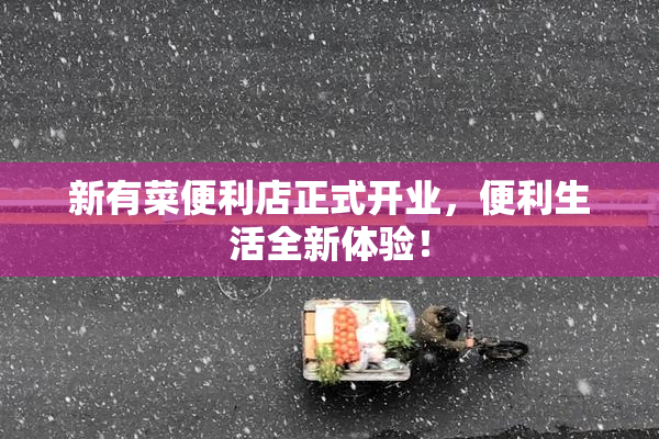 新有菜便利店正式开业，便利生活全新体验！