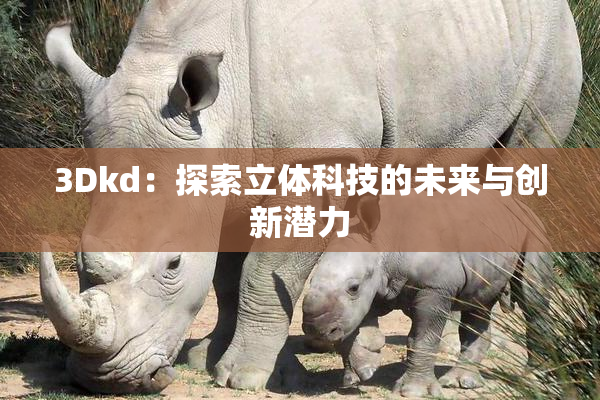 3Dkd：探索立体科技的未来与创新潜力