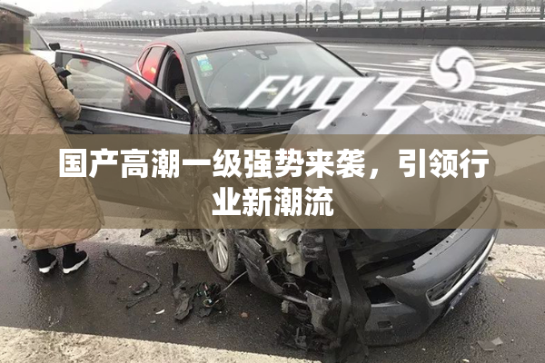 国产高潮一级强势来袭，引领行业新潮流