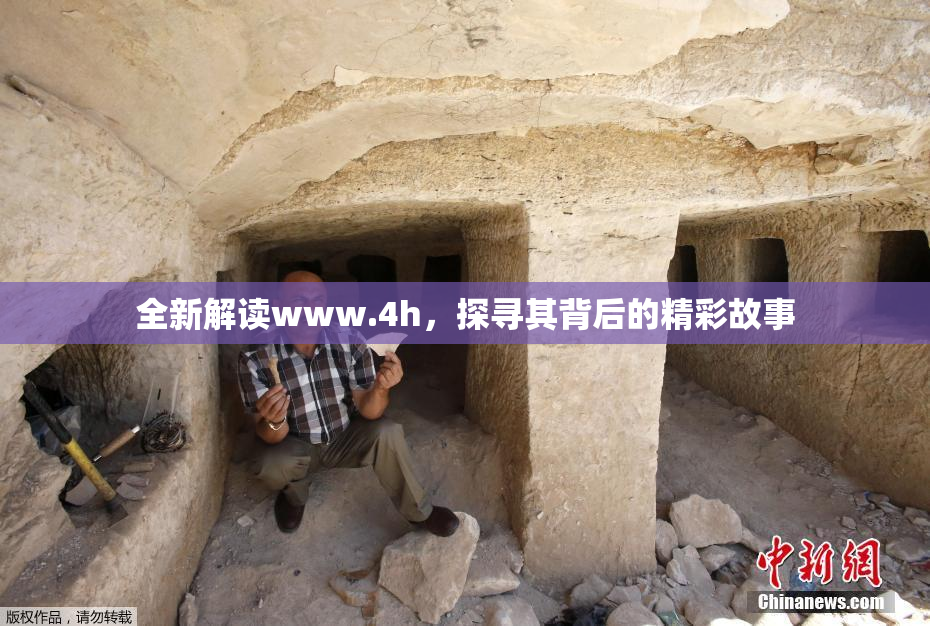 全新解读www.4h，探寻其背后的精彩故事