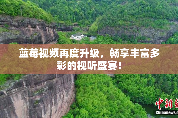 蓝莓视频再度升级，畅享丰富多彩的视听盛宴！