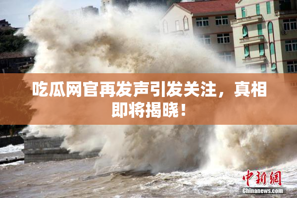 吃瓜网官再发声引发关注，真相即将揭晓！