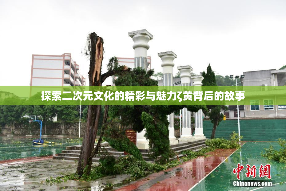 探索二次元文化的精彩与魅力ζ黄背后的故事