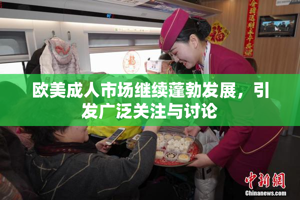 欧美成人市场继续蓬勃发展，引发广泛关注与讨论