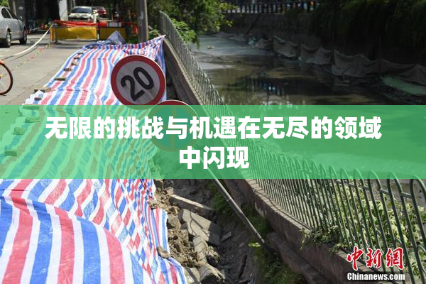 无限的挑战与机遇在无尽的领域中闪现