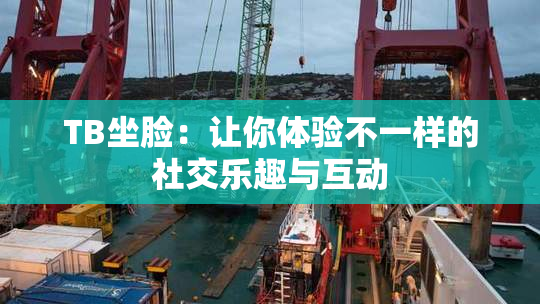 TB坐脸：让你体验不一样的社交乐趣与互动