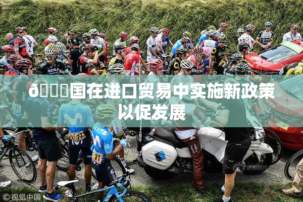 🔞国在进口贸易中实施新政策以促发展