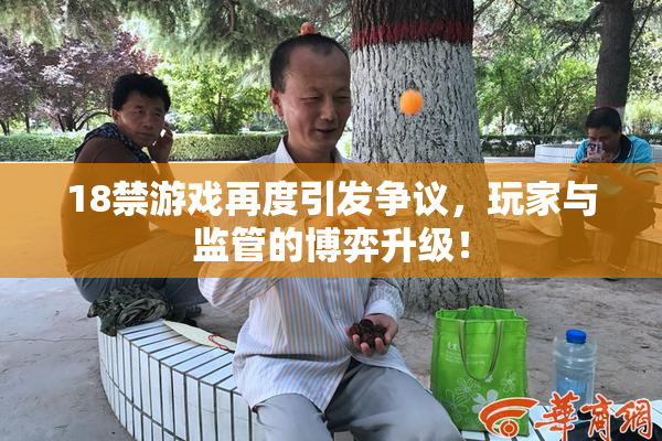 18禁游戏再度引发争议，玩家与监管的博弈升级！